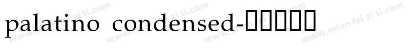palatino condensed字体转换